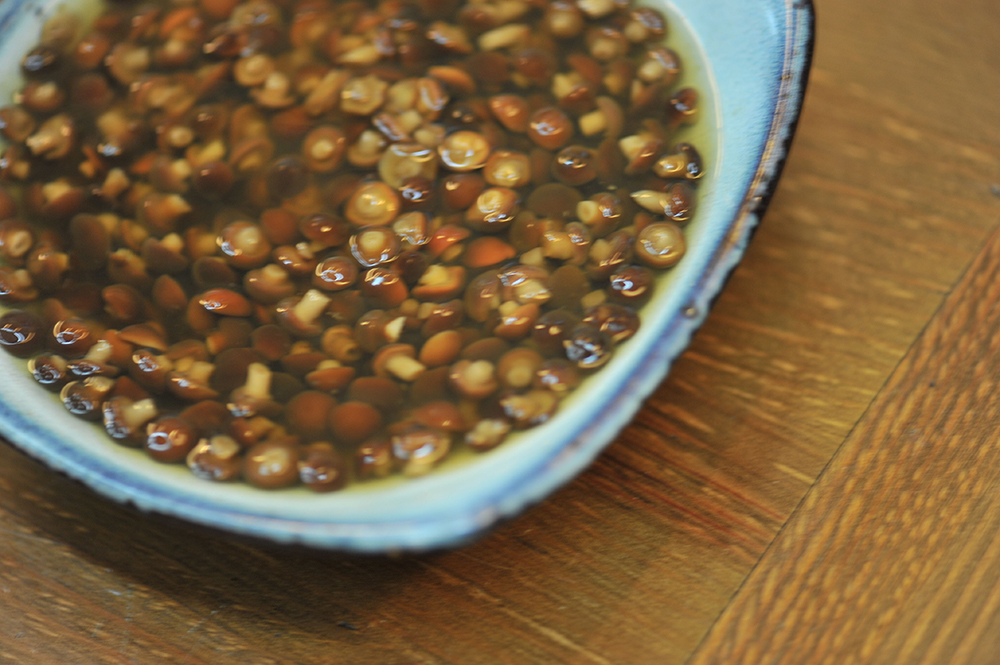 QQ圖片20181030131428.jpg QQ圖片20181030131428.jpg