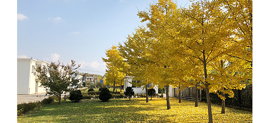 1-rs_08.png 1-rs_08.png