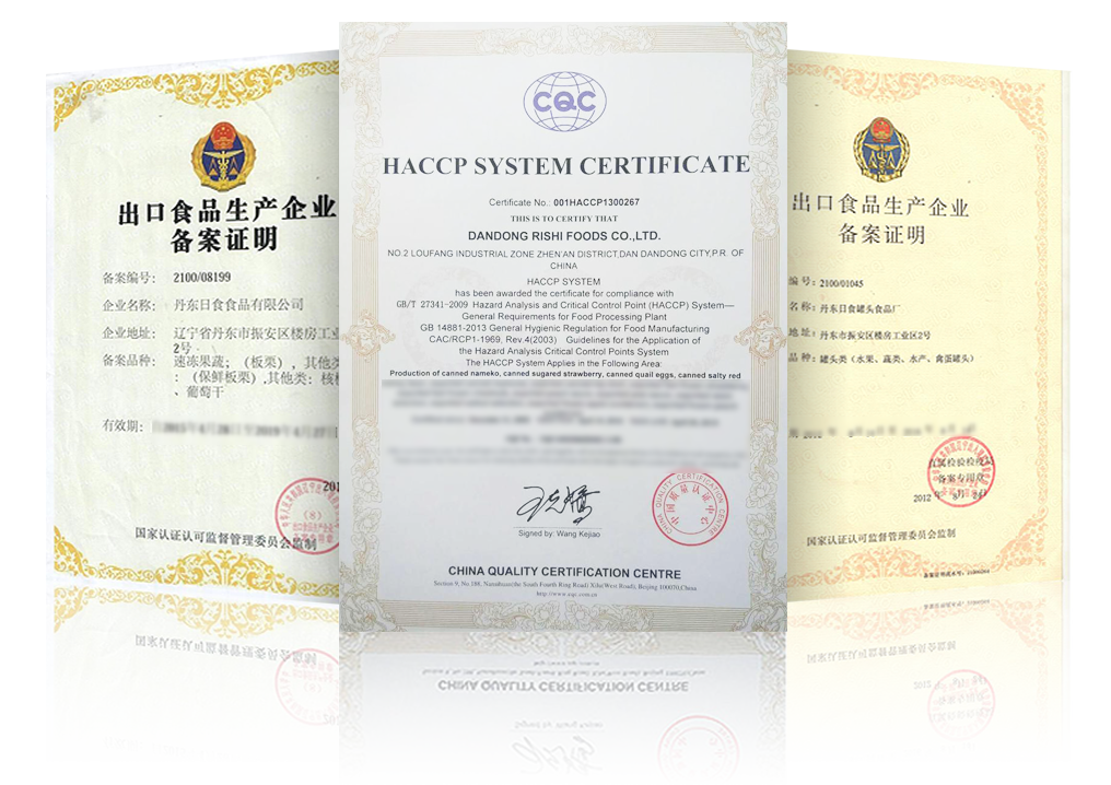 6389561311351492283490808.png 6389561311351492283490808.png